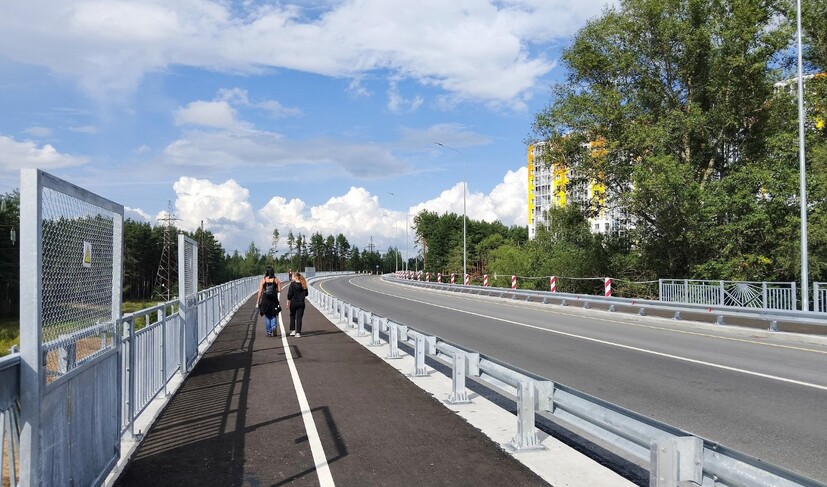 Путепровод по ул. Фрунзе в г. Тверь_Фото 4