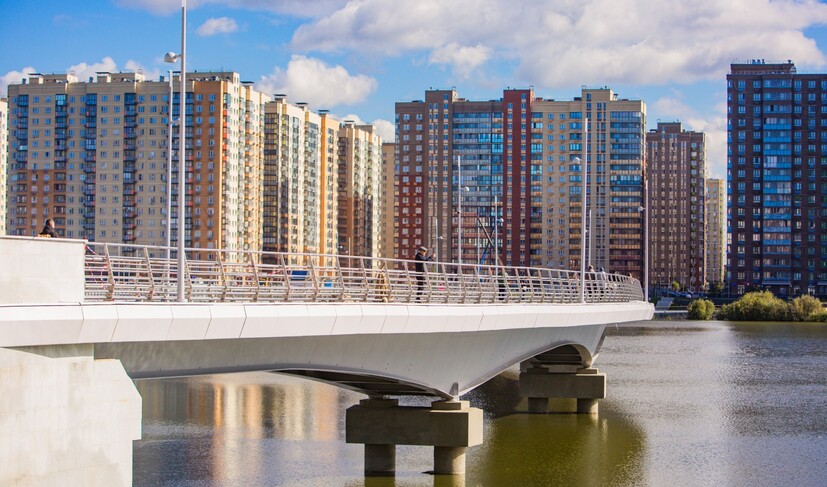 Пешеходный мост через озеро Чёрное (Парк Дружбы)_L65A0063