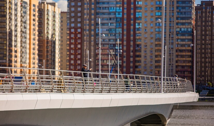 Пешеходный мост через озеро Чёрное (Парк Дружбы)_L65A0065