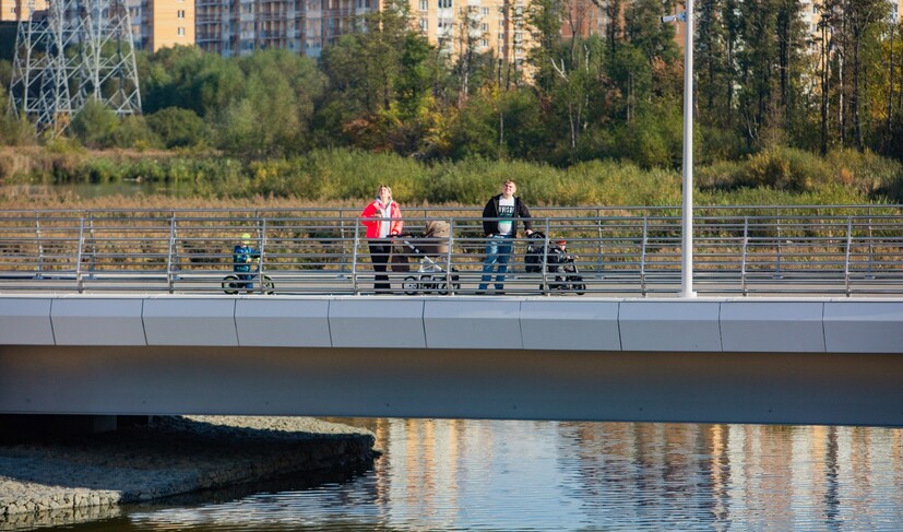 Пешеходный мост через озеро Чёрное (Парк Дружбы)_L65A0487