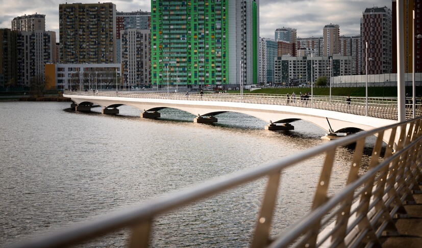 Пешеходный мост через озеро Чёрное (Парк Дружбы)_LDV_7875